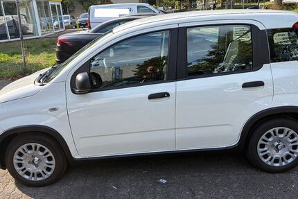 Fiat Panda 1.300 km 13.500 &euro; Frankfurt am Main 60599