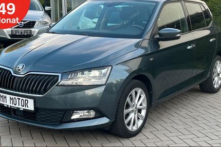 Skoda Fabia 100.000 km 9.990 € Rüsselsheim 65428