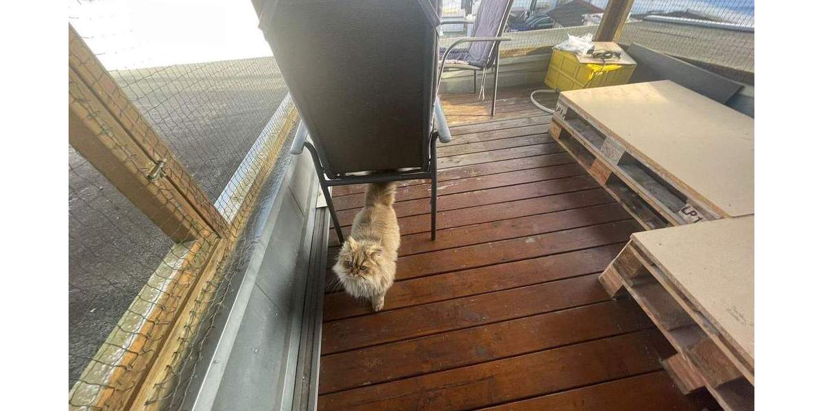 Ruhig wohnen: 2-Zimmer-Dachgeschosswohnung mit Balkon 2 zimmer