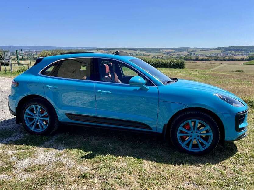 Macan