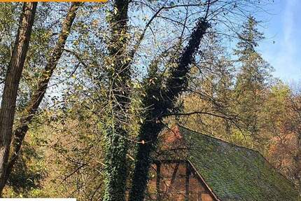 Grundstück in exclusiver Toplage mit Bestand der besonderen Art- zimmer