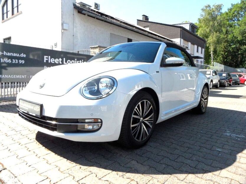 Beetle