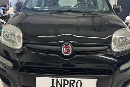 Fiat Panda 113.500 km 4.980 € Groß Umstadt 64823