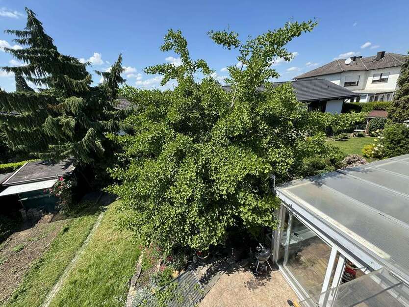 Haus zum Kaufen in Hochheim 699.000 € 214 m²