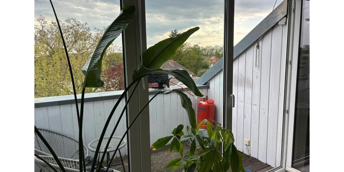 Dachgeschoßwohnung Frankfurt am Main Eschersheim - 2 Zimmer, 66 m&sup2;, 980&euro; | Angebot:26267034