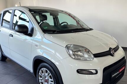 Fiat Panda 4.900 km 11.000 € Hofheim-Wallau 65719