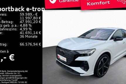 Audi Q4 e-tron 12.250 km 59.989 € Offenbach am Main 63071