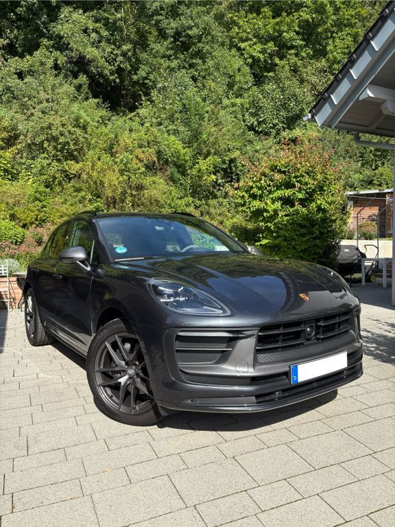Macan