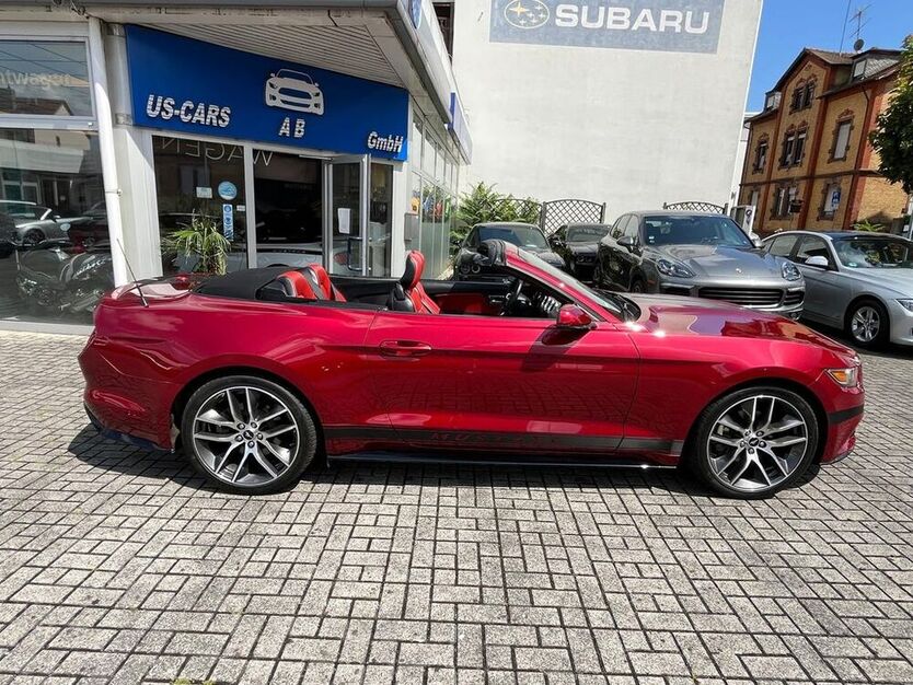 Mustang
