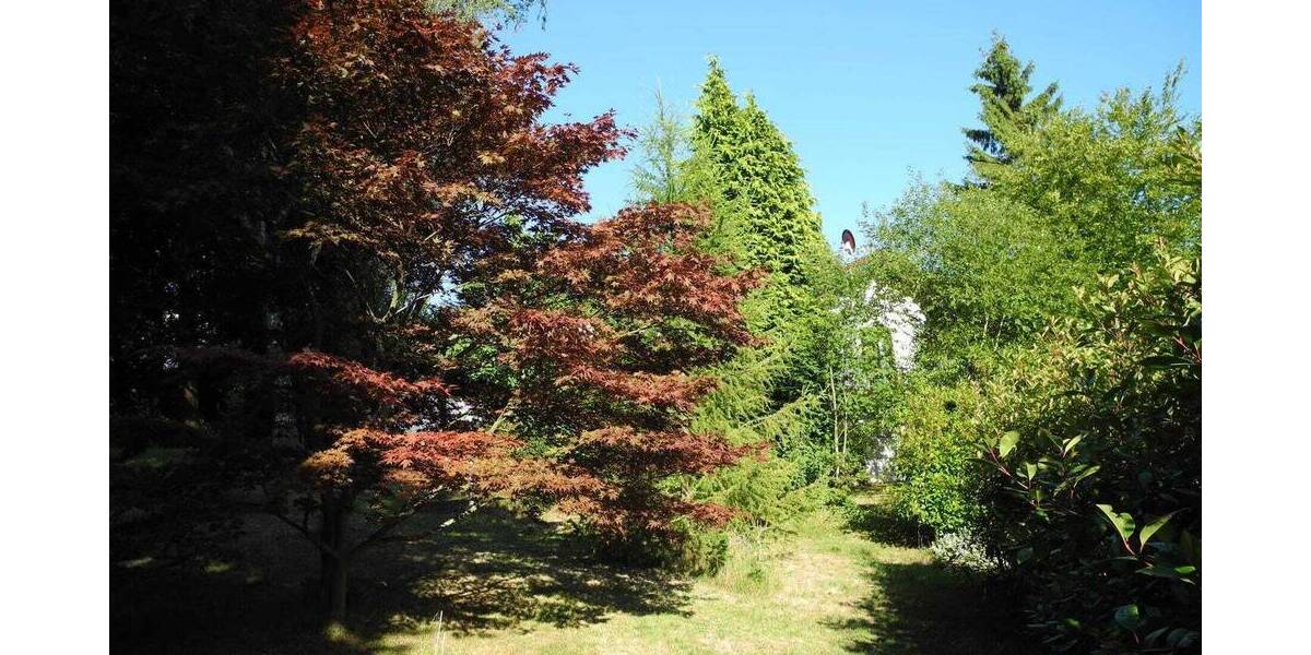 Grundstück Schmitten im Taunus Oberreifenberg - 865.000&euro; | Angebot:25778783