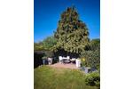 Einfamilienhaus Maintal - 6 Zimmer, 170 m&sup2;, 769.000&euro; | Angebot:26706913