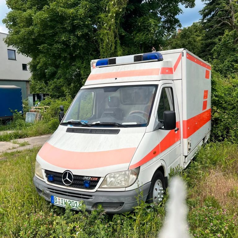 Sprinter