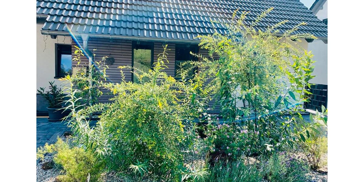 Etagenwohnung Mömbris - 1 Zimmer, 63 m&sup2;, 1.100&euro; | Angebot:26059578