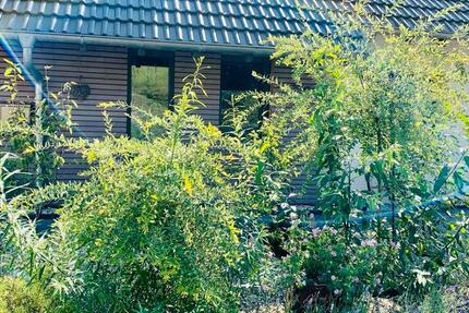 Wohnung Mömbris - 1 Zimmer, 63 m&sup2;, 1.100&euro; | Angebot:26059578