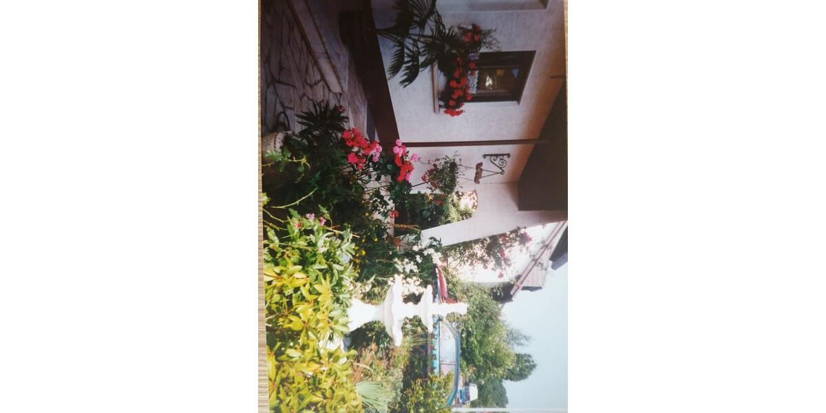 Maisonettenwohnung Freigericht - 7 Zimmer, 116 m&sup2;, 299.000&euro; | Angebot:25933265