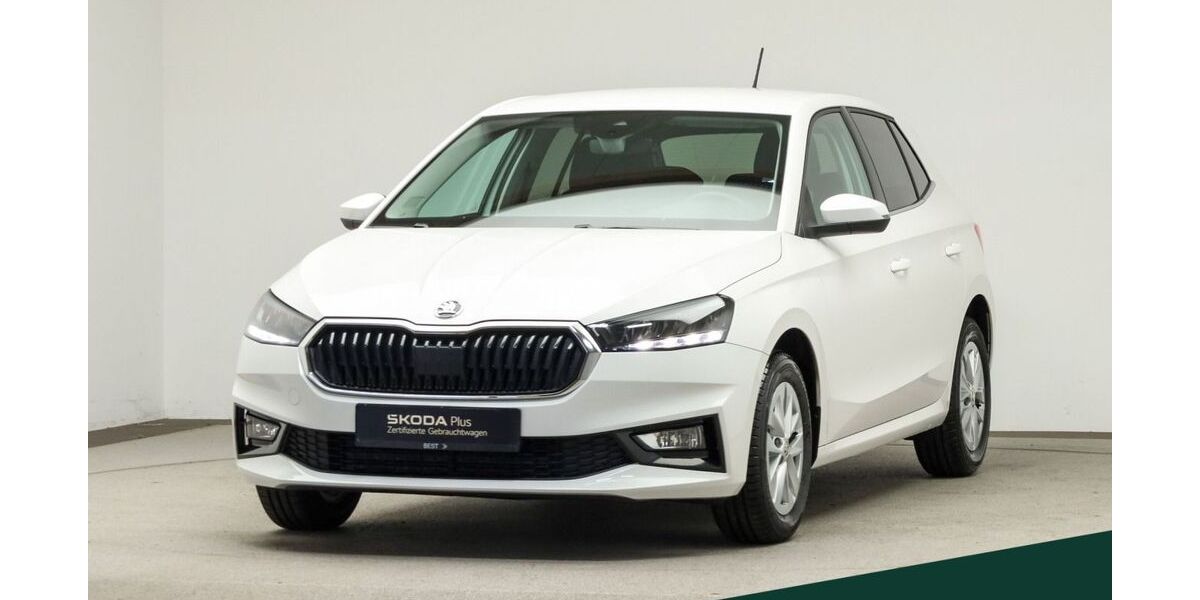Skoda Fabia 55.800 km 17.988 &euro; Mühlheim 63165