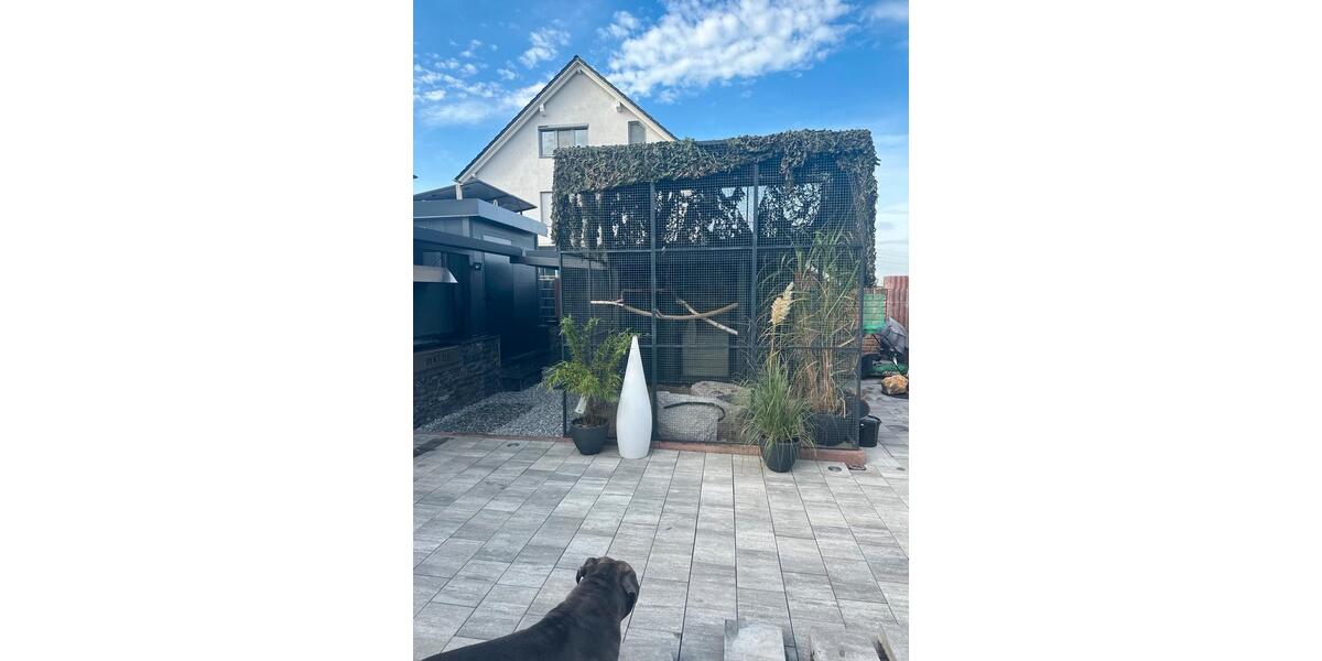 Mehrfamilienhaus, Wohnhaus Groß-Gerau Gerau - 1.600.000&euro; | Angebot:26125360