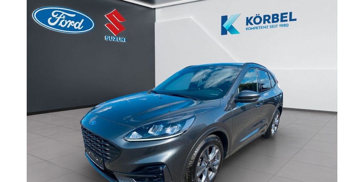 Ford Kuga 29.100 km 23.480 &euro; Nidderau-Heldenbergen 61130