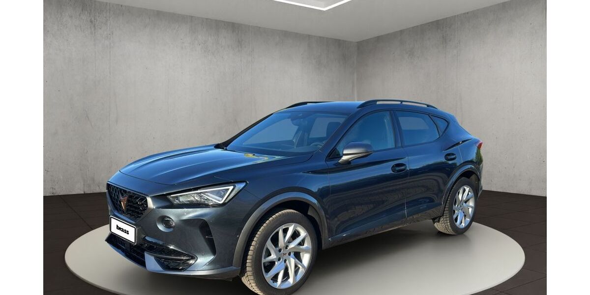 Cupra Formentor 38.100 km 27.680 &euro; Frankfurt 60488