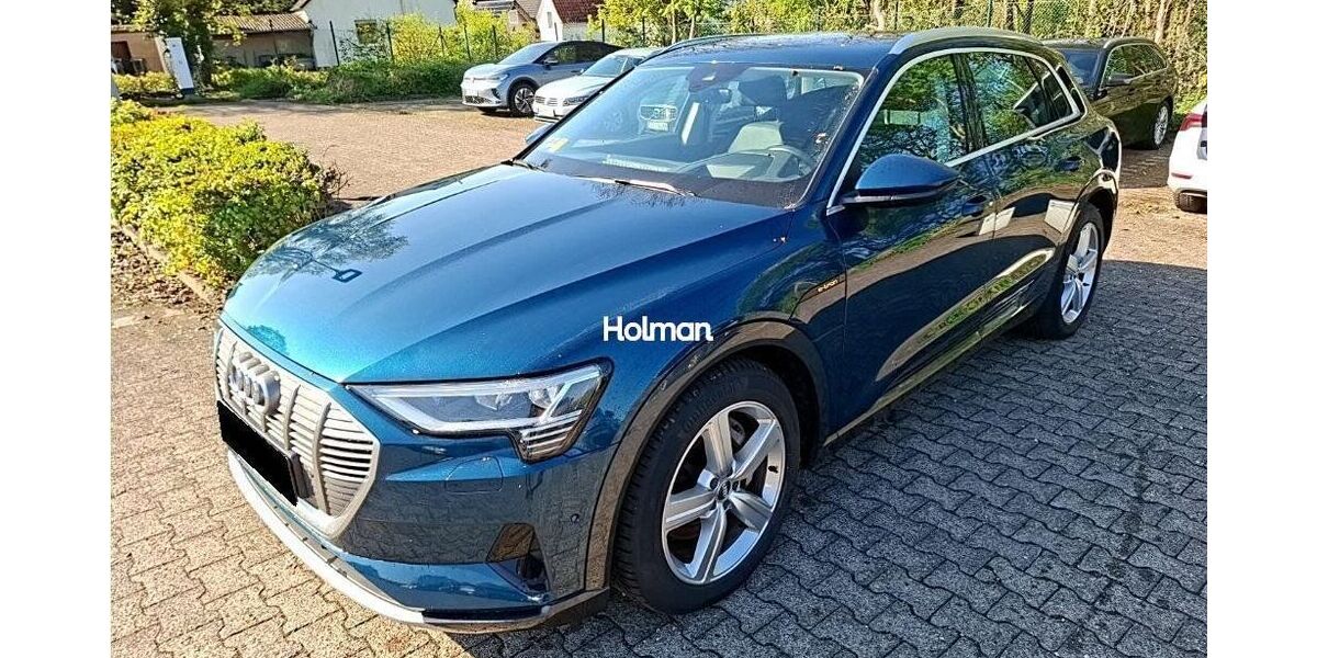 Audi e-tron 138.382 km 22.114 &euro; Eschborn 65760