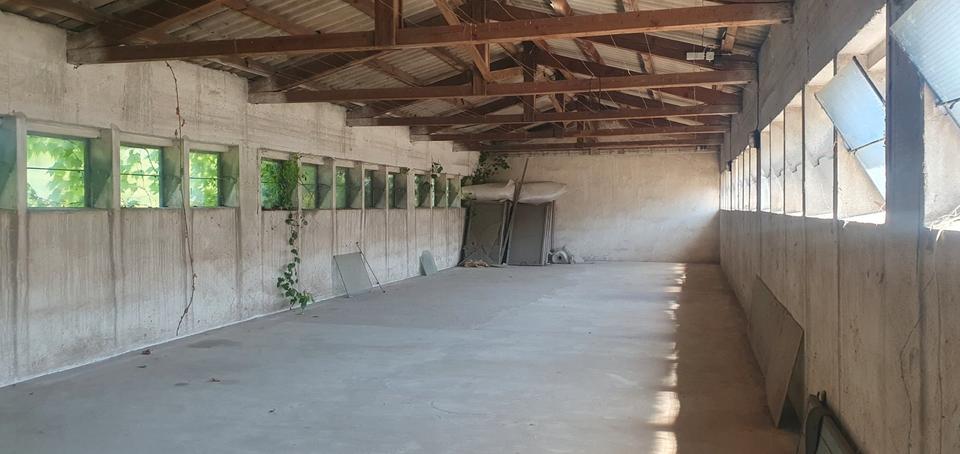 Gewerbeobjekt Schöneck - 1.750&euro; | Angebot:26623599