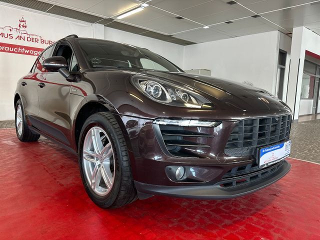 Macan