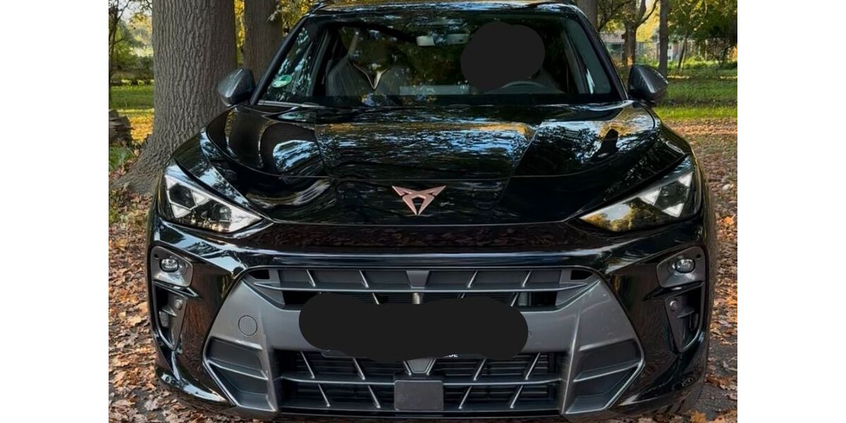 Cupra Terramar 7.000 km 41.900 &euro; Hanau 63450