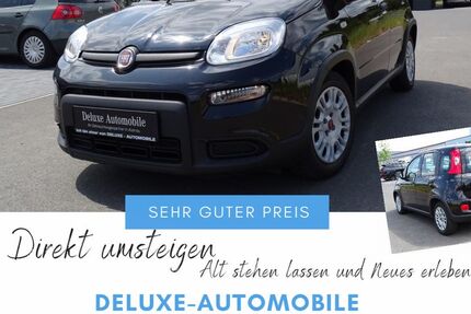 Fiat Panda 45.000 km 9.850 € Alzenau 63755