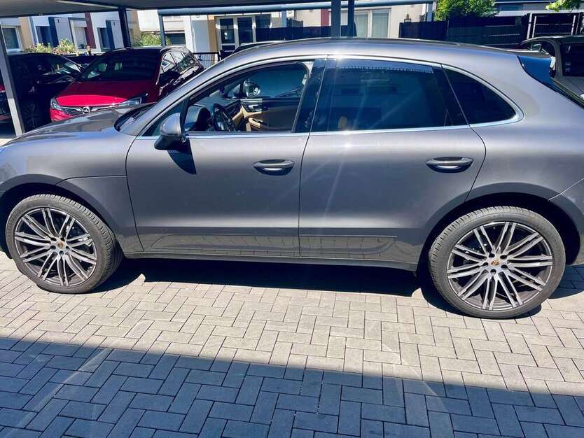 Macan