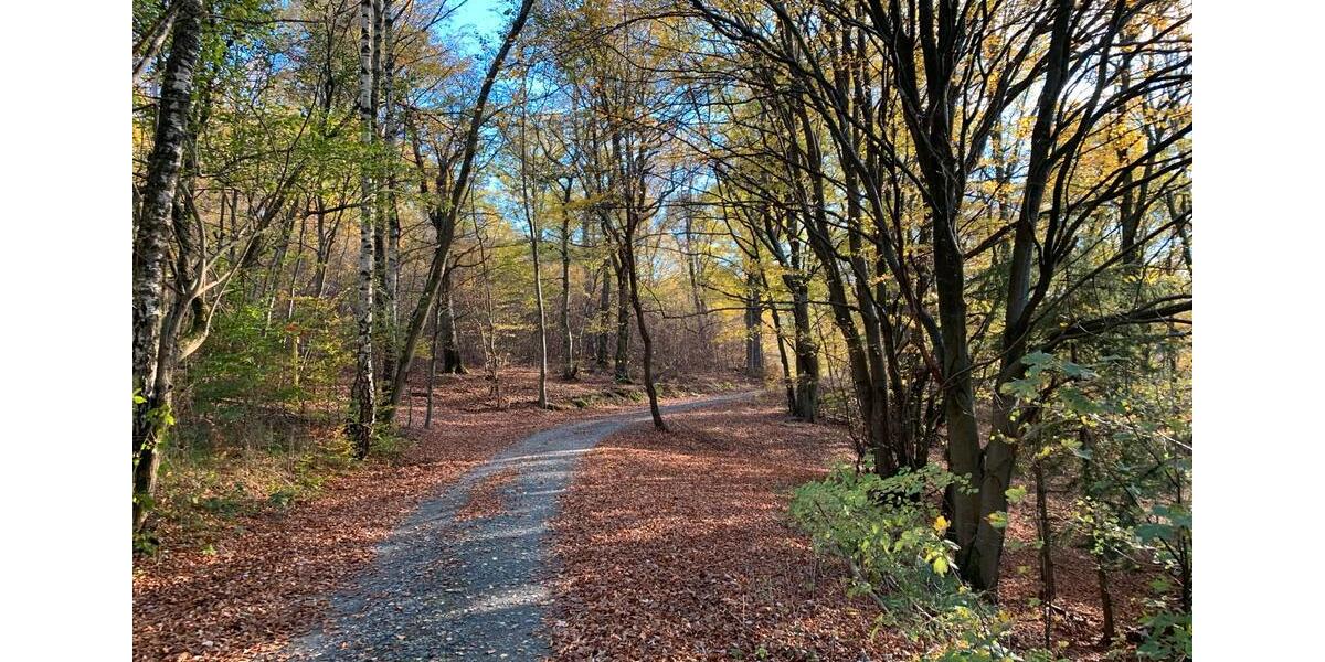 Einfamilienhaus Schmitten im Taunus - 8 Zimmer, 160 m&sup2;, 1.750&euro; | Angebot:26444370