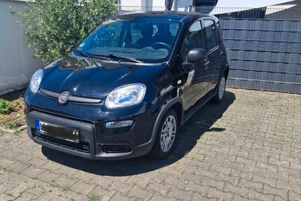 Fiat Panda 136.000 km 5.900 &euro; Nidderau 61130