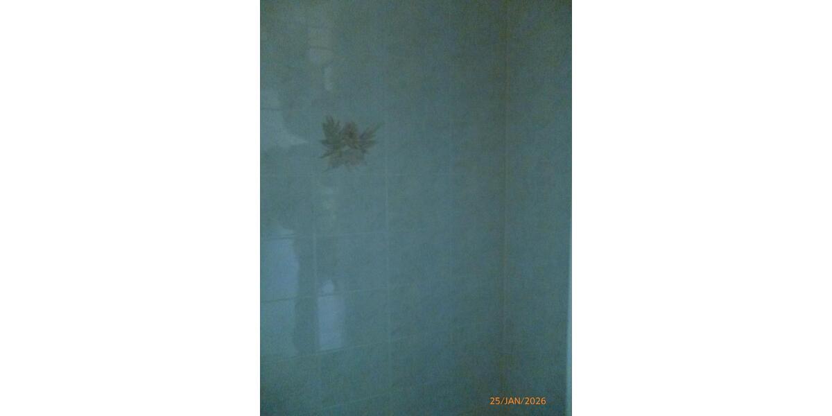 Erdgeschoßwohnung Rüsselsheim am Main - 3 Zimmer, 80 m&sup2;, 1.199&euro; | Angebot:24466569