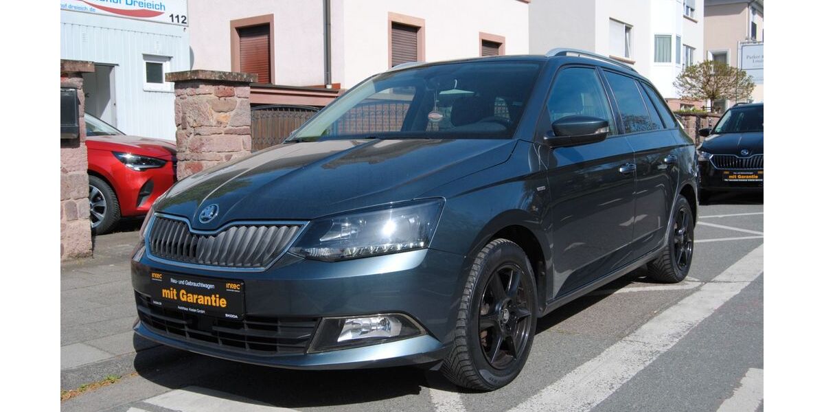 Skoda Fabia 90.886 km 9.880 &euro; Dreieich 63303