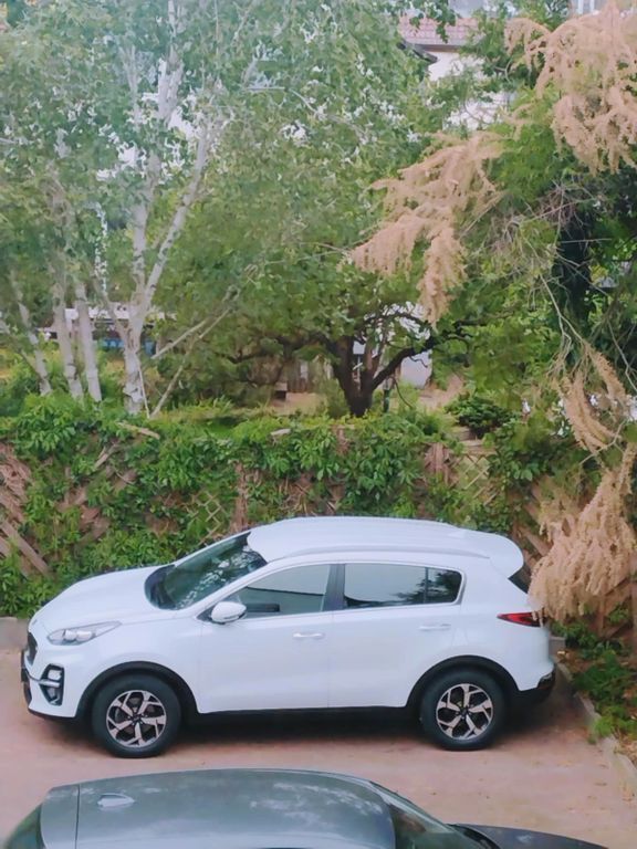 Sportage