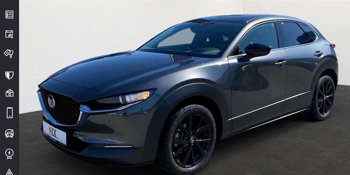 Mazda CX-30 61.000 km 22.990 &euro; Offenbach 63071