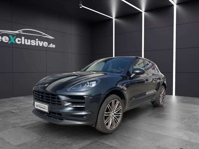Macan