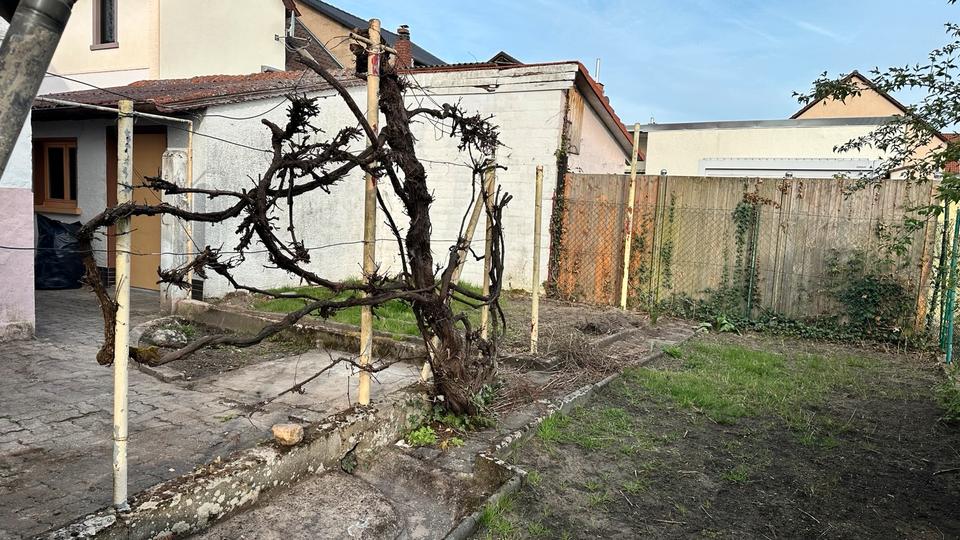 Hochparterre Rodenbach - 1 Zimmer, 30 m&sup2;, 590&euro; | Angebot:26115333