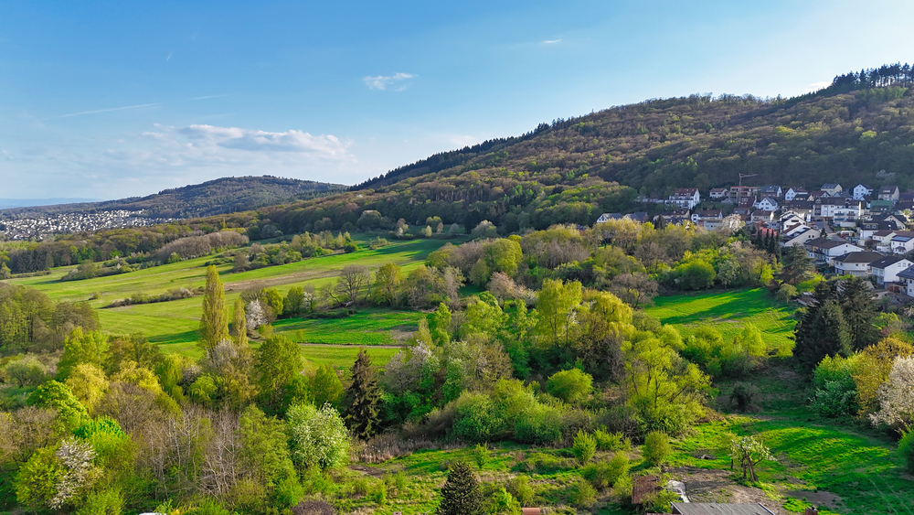 Mehrfamilienhaus mit Bauplatz in Ruppertshain 11 zimmer