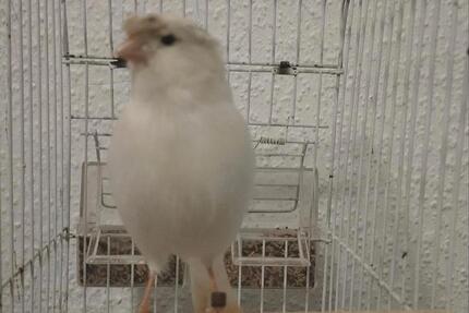 Gewerbeobjekt Aschaffenburg Damm - 50&euro; | Angebot:24513566