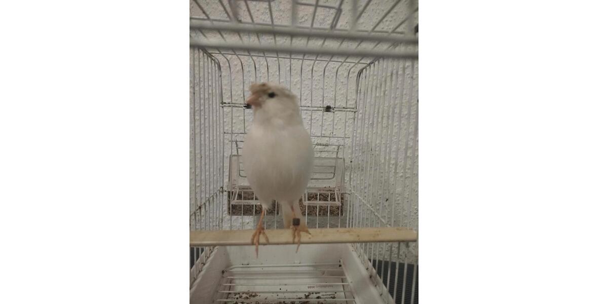 Gewerbeobjekt Aschaffenburg Damm - 50&euro; | Angebot:24513566