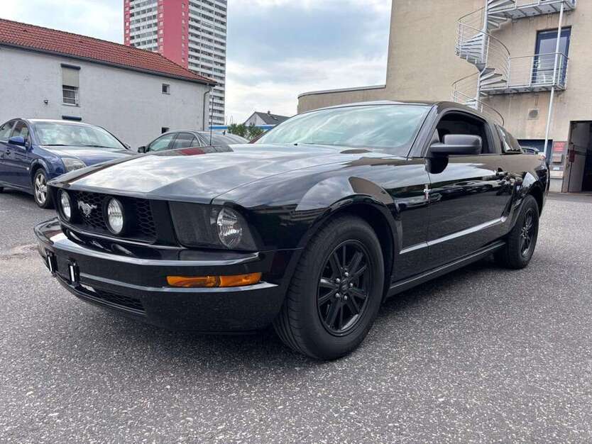 Mustang
