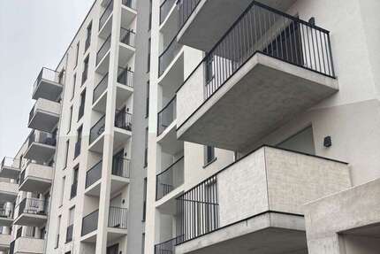 Wohnung zum Mieten in Frankfurt am Main 995 € 42 m² 1 zimmer