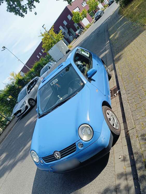 Lupo