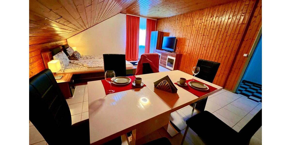 Dachgeschoßwohnung Hanau Lamboy - 1 Zimmer, 25 m&sup2;, 700&euro; | Angebot:26252477