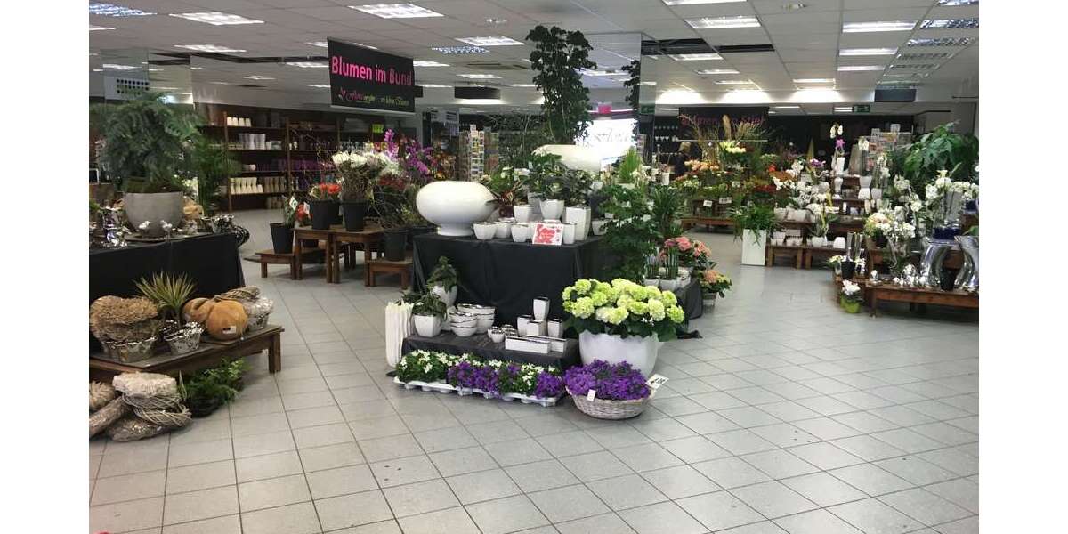 Gewerbeobjekt Königstein im Taunus - 7.550&euro; | Angebot:26184741