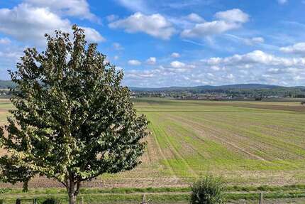 Wohnung zum Mieten in Freigericht 900 € 79 m² 3 zimmer