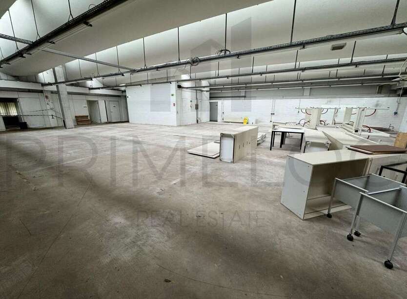 Halle in Dieburg 2.800.000 € 3847 m²