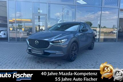 Mazda CX-30 21.208 km 28.590 € Karben 61184