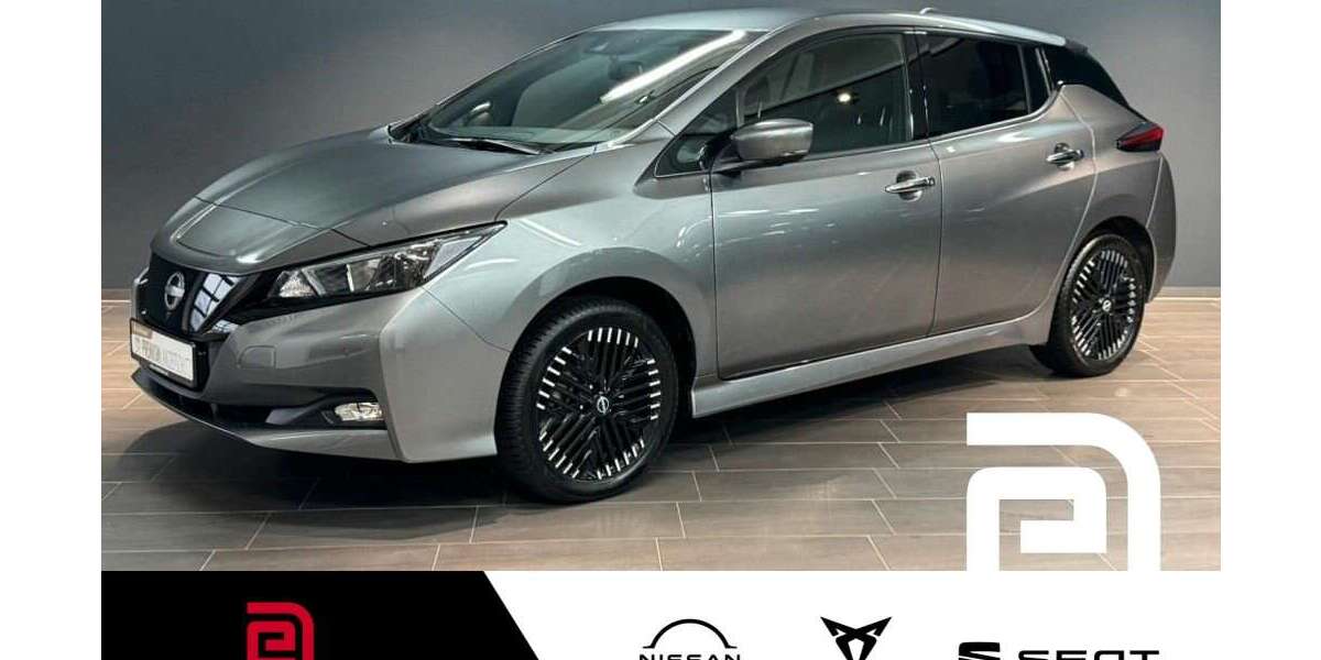 Nissan Leaf 22.216 km 22.610 &euro; Offenbach 63069