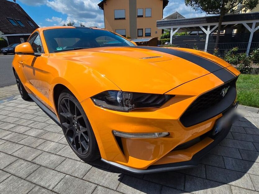 Mustang